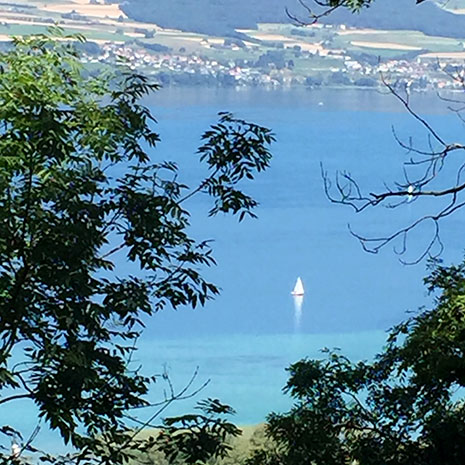 Vor einer malerischen Kulisse gleitet ein Segelboot über das Wasser, dessen Segel sich im Wind wiegen.